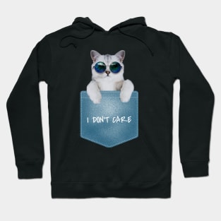 I Don't Care Hoodie